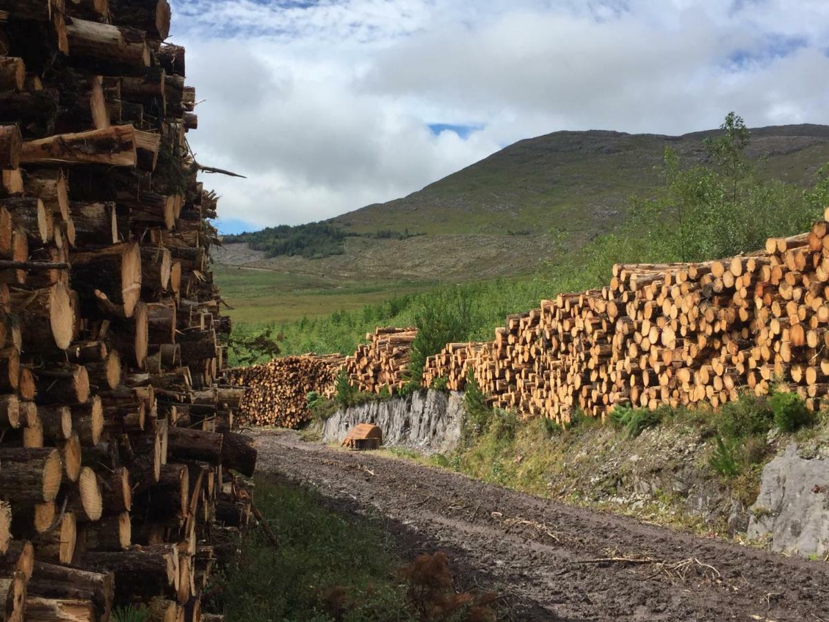 Alaind Lodges, Sneem Eksteriør billede